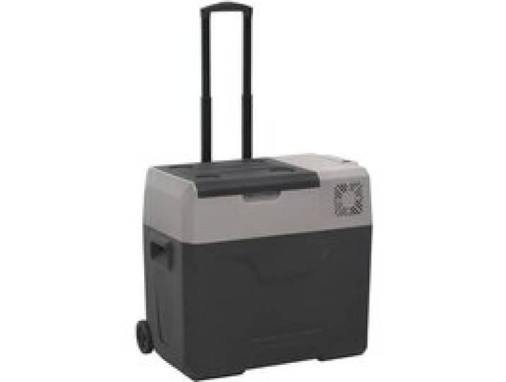 vidaXL Glacière avec roue et poignée noir et gris 40 L polypropylène glacière électrique réfrigérateur à compresseur 51782