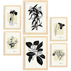 POSTER Set Mit 6 In Schwarzer Tinte Orchideen A3 & A4 Rahmen Aus Hellem Holz