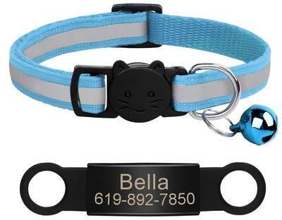 Uplifted Finds Customized Reflective Pet ID Collar With Nameplate light Blue 341