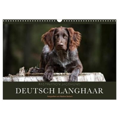 Faszination Jagdhund - Deutsch Langhaar (Wandkalender 2027 DIN A3 quer), CALVENDO Monatskalender