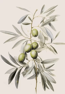 Inspire Curations Retro Olive Tree & Lemon Canvas Poster Vintage Botanical Kitchen & Home Wall Art 2507291243 50x70cm