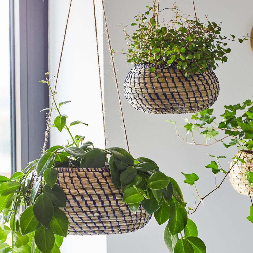 Ivyline Hanging Seagrass Navy Planter Set of 2 Brown 14cm H X 28cm W X 28cm D