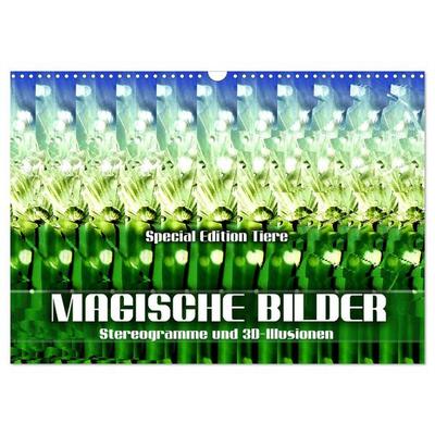 Magische Bilder - Stereogramme und 3D-Illusionen (Wandkalender 2026 DIN A3 quer), CALVENDO Monatskalender