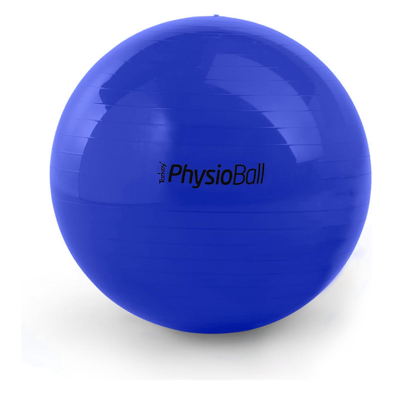 Ledragomma Original Pezziball (85 cm) (30.6574)