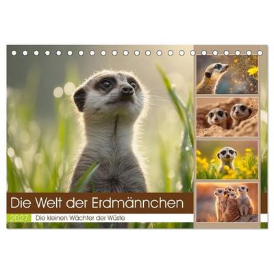 Die Welt der Erdmännchen (Tischkalender 2027 DIN A5 quer), CALVENDO Monatskalender