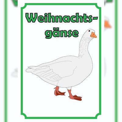 HB-Druck Weihnachtsgans Verkaufsschild Schild Hochkant A4 (210x297mm)
