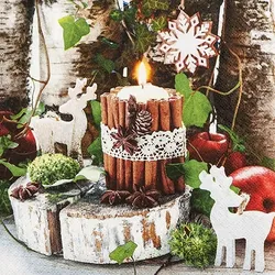 Home Fashion, Cozy Decoration, Lunch-Servietten aufgefaltetes Maß 33 cm x 33 cm, im Viertelfalz, 20 Stück pro Pack