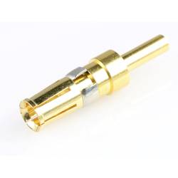 Molex 2018460030 MutliCat Female Cont 2018460030 Molex Inhalt: 1 St.