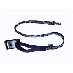 Arka Zen (Hund, Allgemein, Spazieren), Halsband + Leine