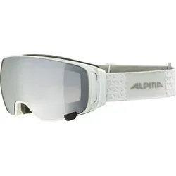 ALPINA Herren Brille DOUBLE JACK MAG QLite, Größe ONE SIZE in Silber Silber