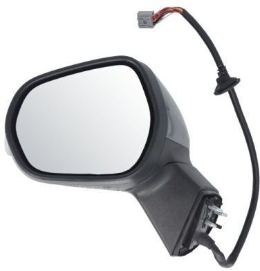 BLIC 5402-03-2326314P Wing mirror
