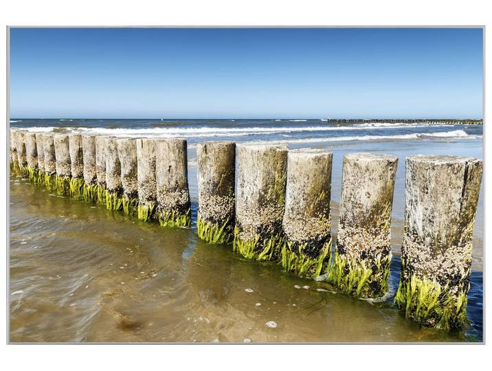Bild mit Rahmen Wellenbrecher 4 image LAND