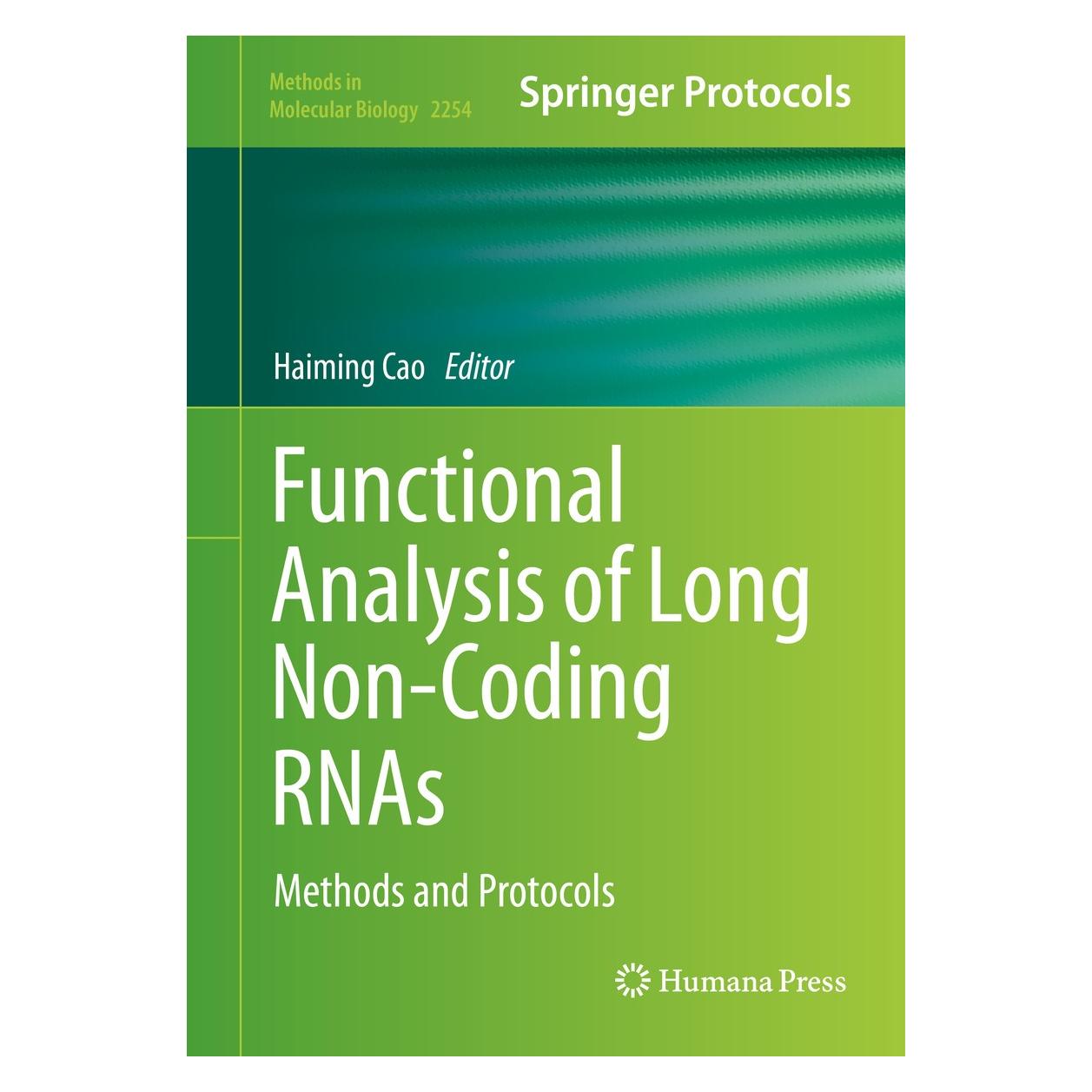 Springer Functional Analysis of Long Non-Coding RNAs (Englisch, Hardcover, Haiming Cao) (9781071611579)