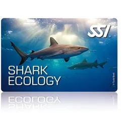Shark Ecology - SSI Specialty - Online Tauchkurs