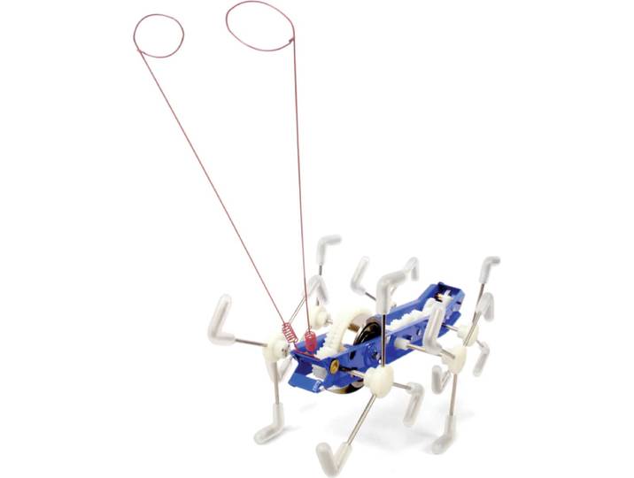 Kikkerand Mxykikker Wind Up - Critter - Speelgoedrobot - Uniek cadeau