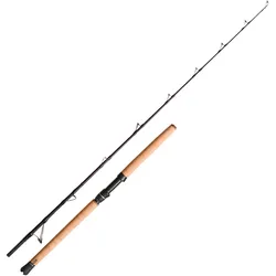 Savage Gear Fury SG6 Halibut 1.95M 40-60lb 250-700g Heilbutt-Bootsrute