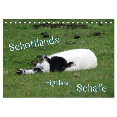 Schottlands Highland Schafe (Tischkalender 2027 DIN A5 quer), CALVENDO Monatskalender