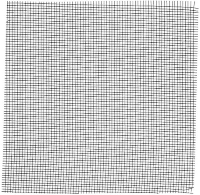 Maico Moustiquaire FG 100 (0093.0922)