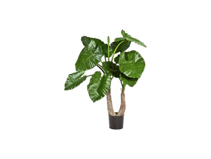 Lebensechte Kunstpflanze „Alcosia Calidora“ Grün Höhe 100 cm Baq Design