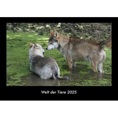 Welt der Tiere 2025 Fotokalender DIN A3