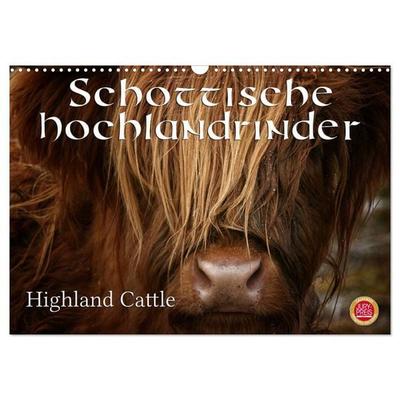 Schottische Hochlandrinder - Highland Cattle (Wandkalender 2026 DIN A3 quer), CALVENDO Monatskalender
