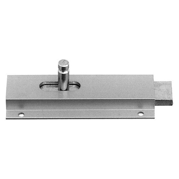 Saner Stossriegel 100X45MM ALU (Stossriegel, 1 Stk.) (1724-00100 (OHN-117786.0100)
