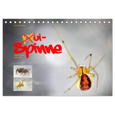 ui - Spinne. Kleine Spinnen - groß im Bild (Tischkalender 2027 DIN A5 quer), CALVENDO Monatskalender