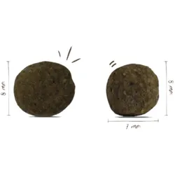 Bosch Mini Junior 1x15 kg