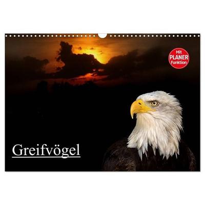 Greifvögel (Wandkalender 2027 DIN A3 quer), CALVENDO Monatskalender