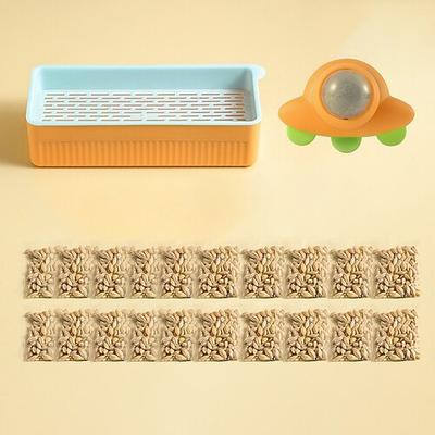 Neue hydroponische Katzengras-Box, Katzensnack, Katzenminze, hydroponische erdlose Bepflanzung, Katzengras-Topf-Set, Katzengras-Box