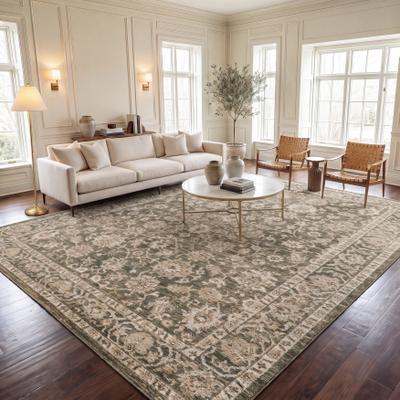 SAFAVIEH Hazel Aina Traditional Oriental Rug
