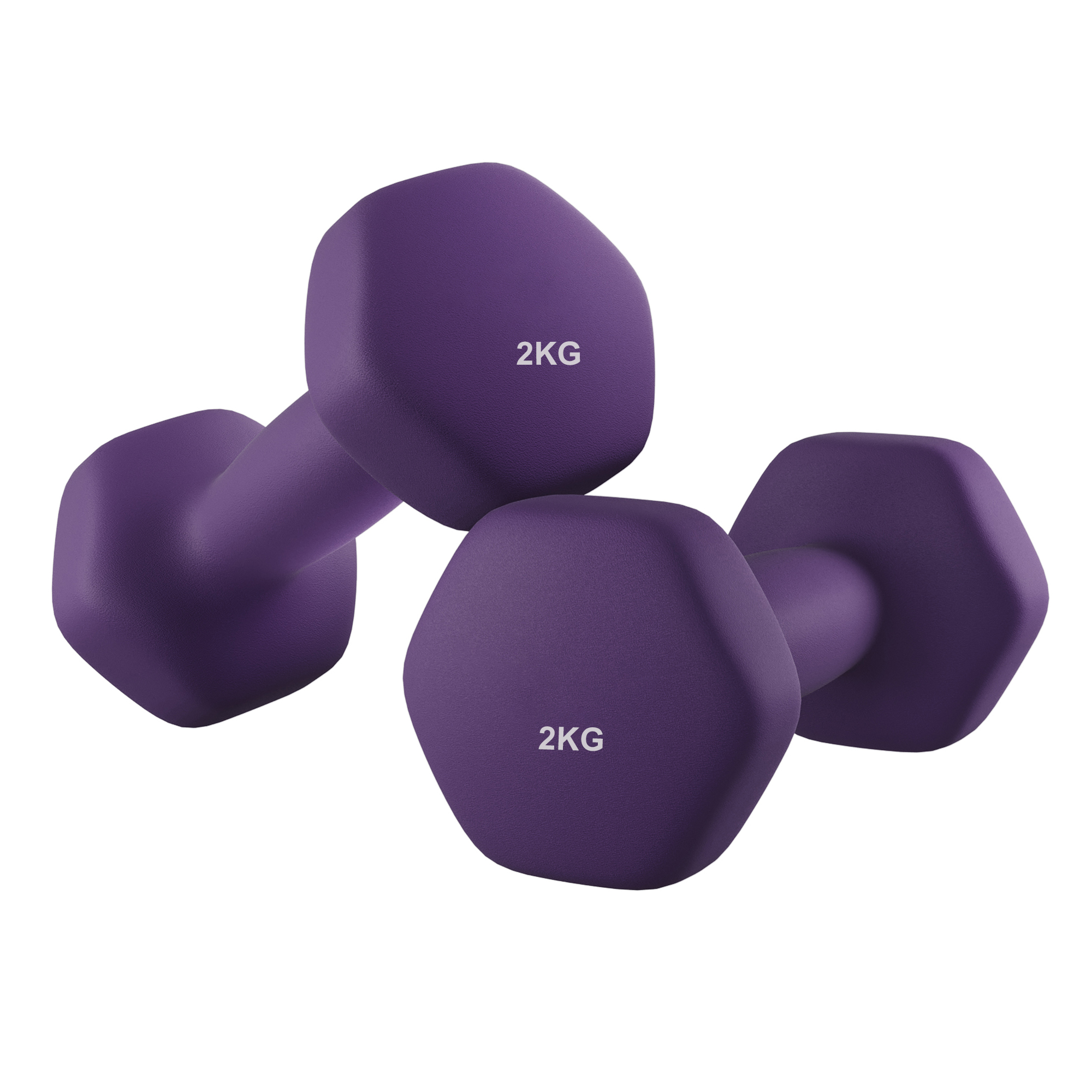 SONGMICS Hanteln, 2er Set,Hantelset SYLB3564PL