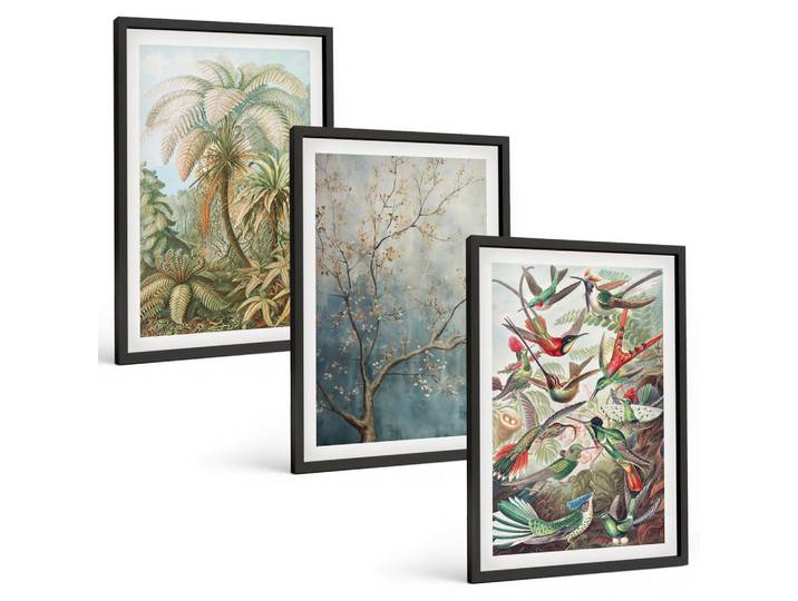 Tulup Bilder SET 3er Set - 40x60 cm Schwarzer Rahmen - Tropische Pflanzen, Vögel, Natur, Kunststoff, Rechteckig, 40x60 cm, gerahmt, Bilder & Rahmen, Bilder