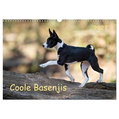 Coole Basenjis (Wandkalender 2027 DIN A3 quer), CALVENDO Monatskalender