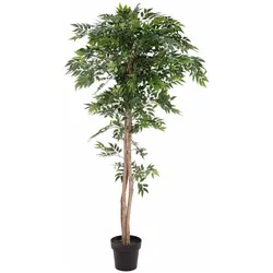 Europalms, Kunstpflanzen, Ficus Longifolia (165 cm)