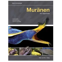 Muränen im Aquarium, Ratgeber von Marco Lichtenberger