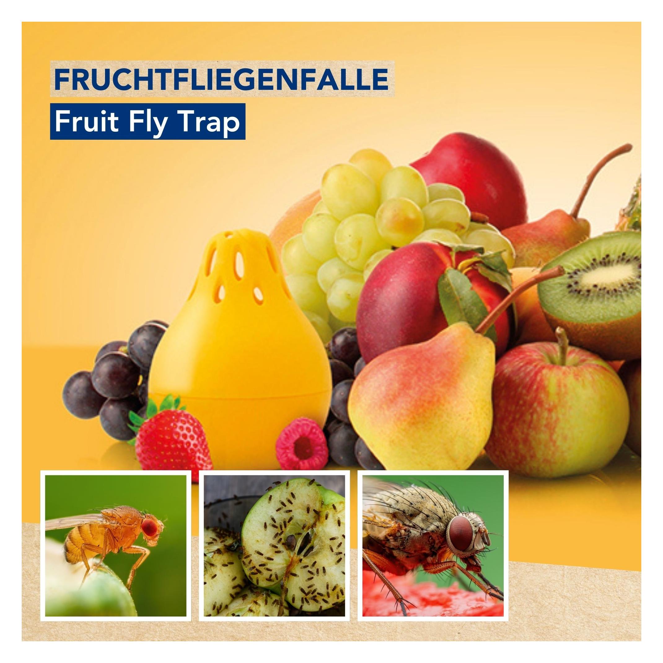 Edialux Green Choice - Fruchtfliegenfalle, 2 x 15ml (EDX-GPFFTBX)