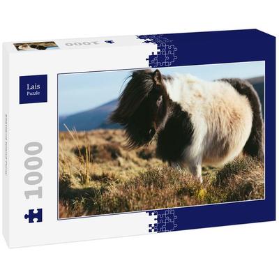 Lais Puzzle Shetland Island Pony 1000 Teile