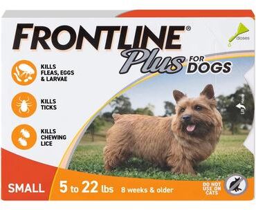 Frontline Plus For Small Dogs Up To 22lbs (Orange) 6 Doses