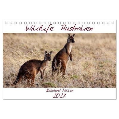 Wildlife Australien (Tischkalender 2027 DIN A5 quer), CALVENDO Monatskalender