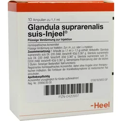 GLANDULA SUPRARENALIS suis Injeel Ampullen 10 St Ampullen