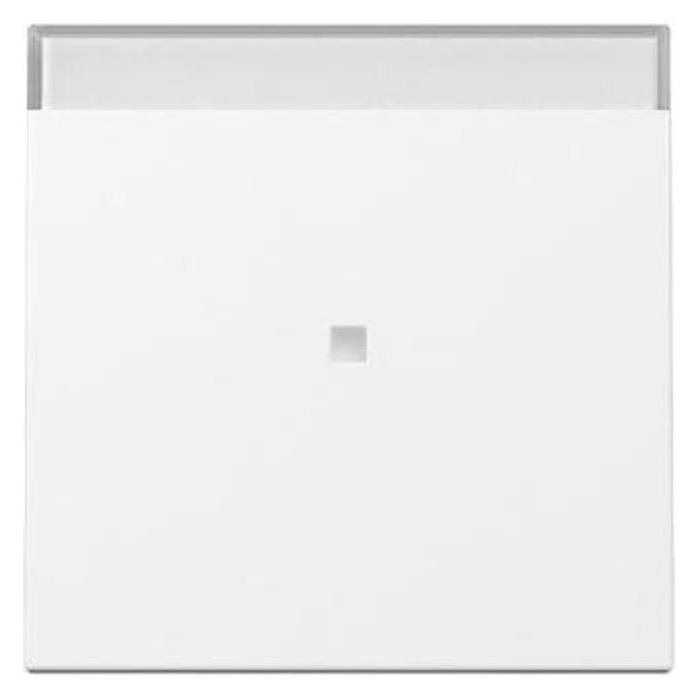 Gira Wippe Kontrollf. (367003)