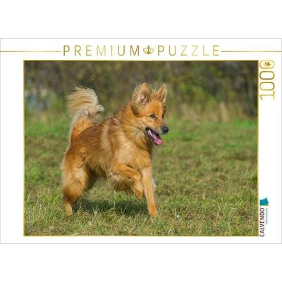 CALVENDO Puzzle Harzer Fuchs rennt über die Wise | 1000 Teile Lege-Größe 64x48cm Foto-Puzzle für glückliche Stunden