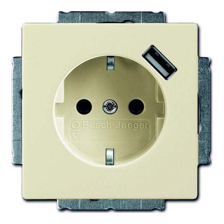 Busch-Jaeger Schuko/USB-Steckdose elfenbeinweiß 20 EUCBUSB-82 (2CKA002011A6159)