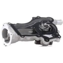 SKF, Wasserpumpe, Wasserpumpe Fuer Opel