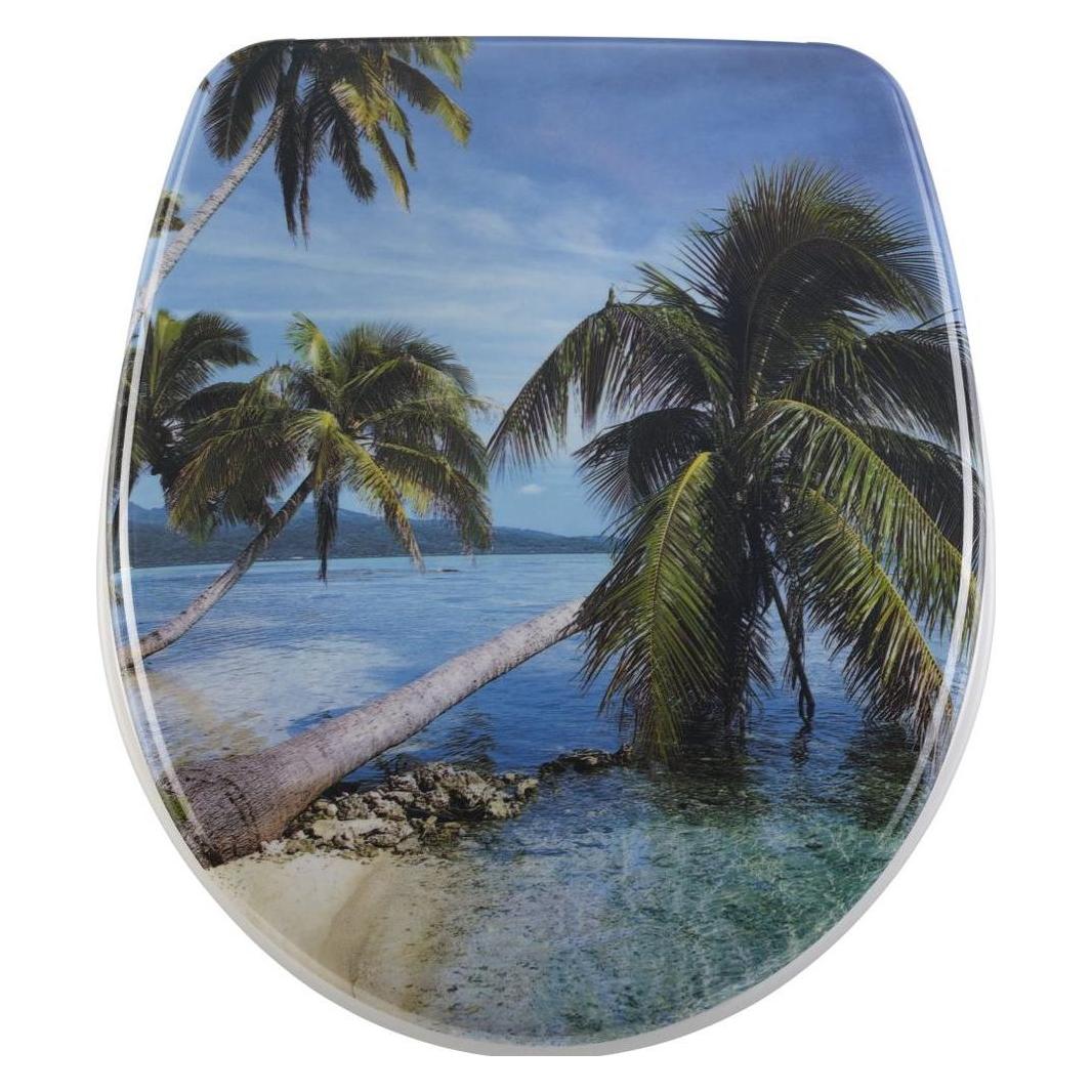 Diaqua Palm (31171213)