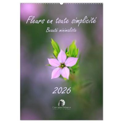Fleurs en toute simplicité - Beauté minimaliste (Calendrier mural 2027 DIN A2 horizontal), CALVENDO calendrier mensuel