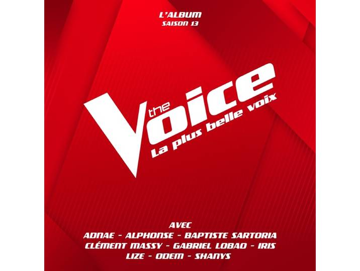 The Voice : La plus belle voix (Saison 13)