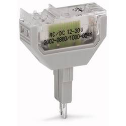 WAGO 2002-880/1000-542 LED-Baustein Grau 50 St.