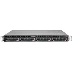 Bluechip SERVERline R31308s (32 GB, Rack Server), Server